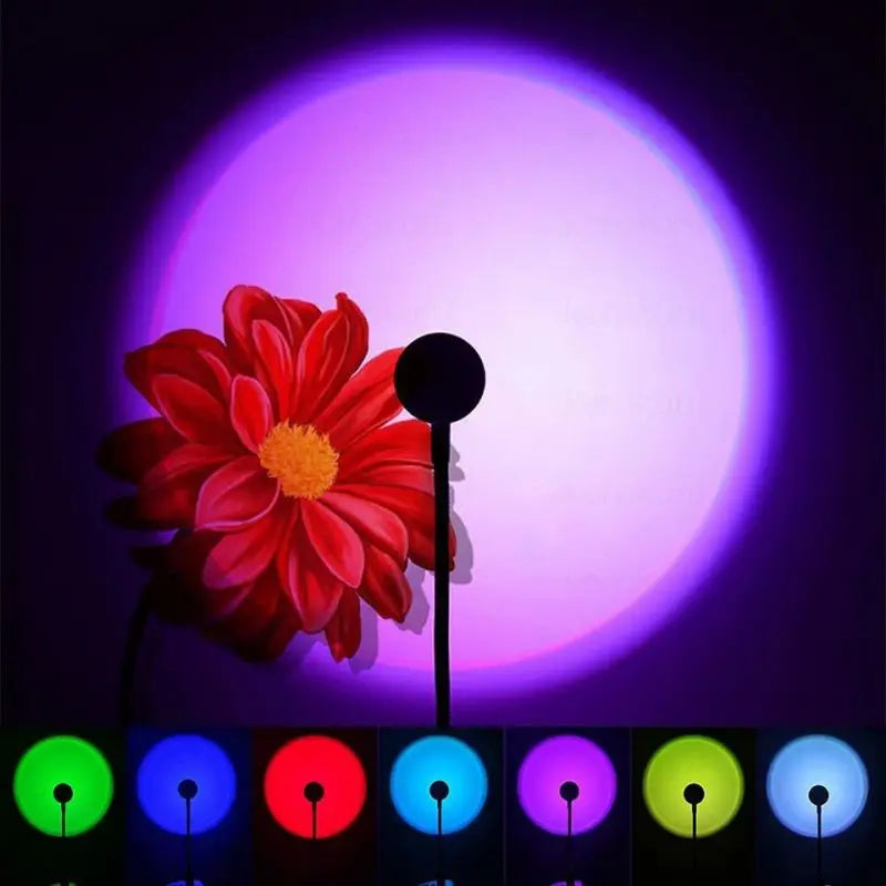 S064784889bd84405a826338e08bee5470